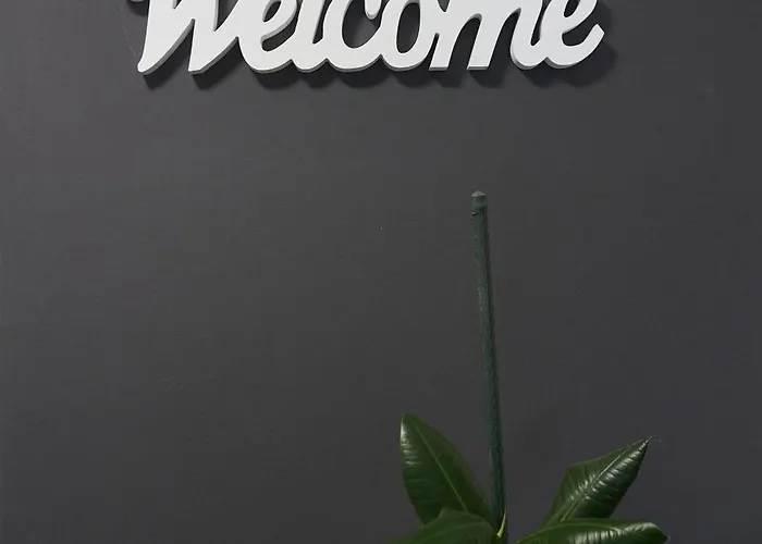 布莱德公寓 公寓 *